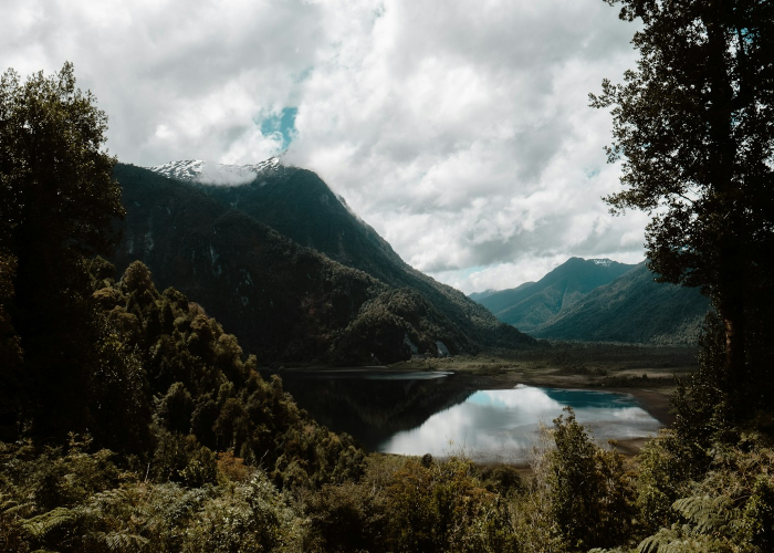 1例复阳与13名密接:疫情下的生命航道,无声的微光航行 1例复阳与13名密接:疫情下的生命航道,无声的微光航行