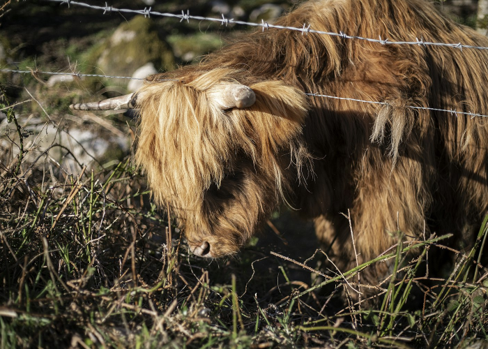 520说说可以发朋友圈的唯美句子集锦分享，520适合发说说的句子