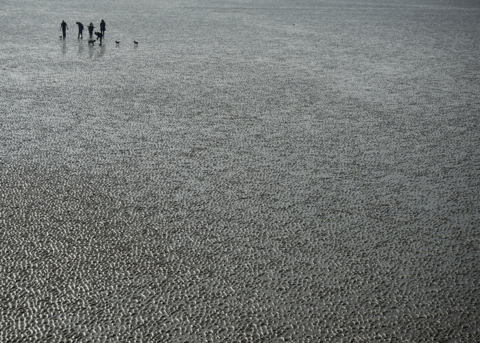 辽宁昨日新增本土确诊29例辽宁昨日新增确诊病例 ☁️