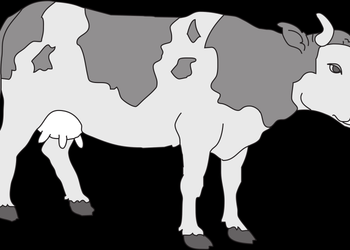 33+8：生活褶皱中的城市免疫系统