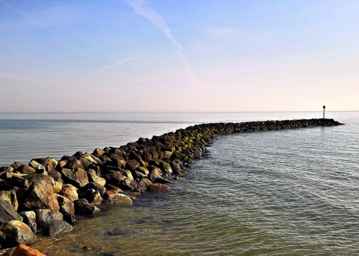 51例生命刻度上的坚守，黄河微澜映照千里防疫堤坝