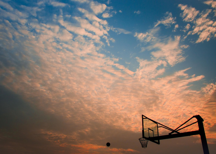 (被蛇咬伤警方送医)，被蛇咬了要去哪里报销医药费