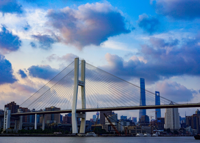 青岛新增46例无症状感染：生命韧性的微光与城市免疫系统的再次校准