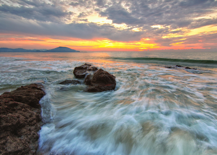 4例输入病例与国门外的回响：归途上的灯火，一座天平上的平衡术