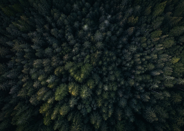 陕西宝鸡肺炎最新消息(陕西宝鸡疫情最新消息)