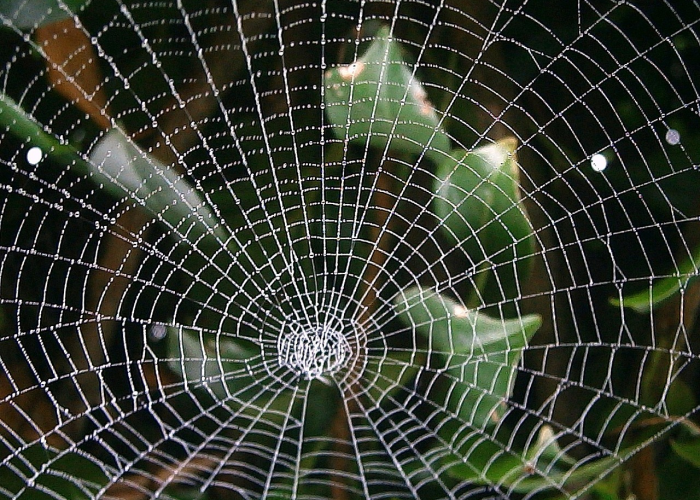 【iOS,ios最新版本是多少】 【iOS,ios最新版本是多少】