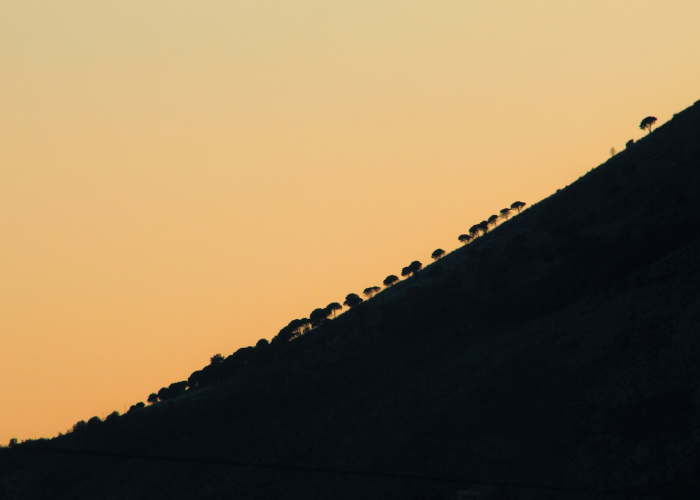 交通银行太平洋信用卡好下卡吗，交通银行太平洋信用卡有什么好处