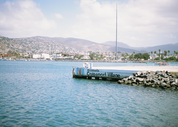 4例新增下的瞰海轩晨昏,免疫系统的集体叙事 4例新增下的瞰海轩晨昏,免疫系统的集体叙事