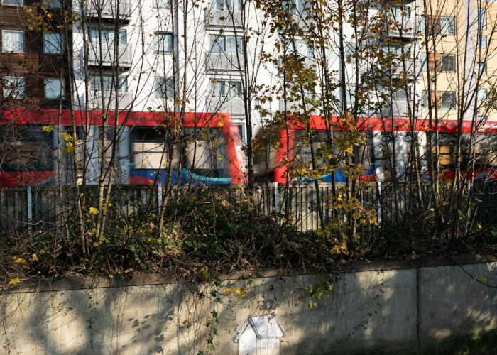 今年五一连休5天2021年五一连休5天 ❄️