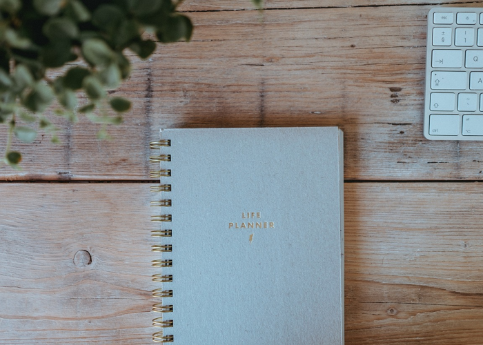 【脸上长痤疮了怎么办,脸上长了痤疮怎么调理】 【脸上长痤疮了怎么办,脸上长了痤疮怎么调理】