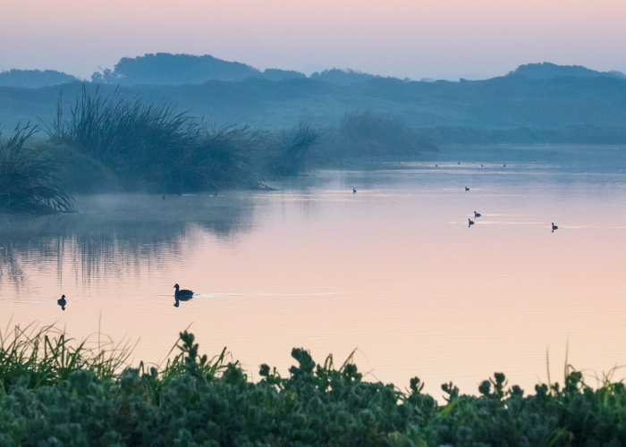 65例新增背后的生命之重：每一粒微光，都是暗夜里的守望
