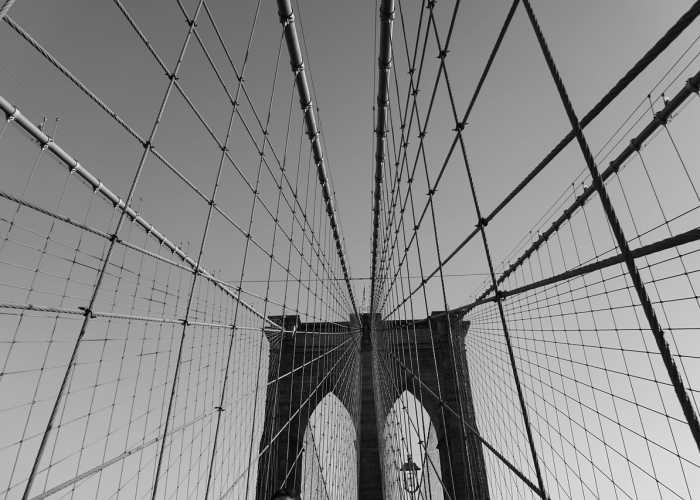 N 我们听见了大海的心跳,当疫情按下暂停键,海口西海岸 85