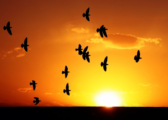 ↔️ 河北新增确诊病例40例河北新增确诊病例40例详情 ↔️ 河北新增确诊病例40例河北新增确诊病例40例详情