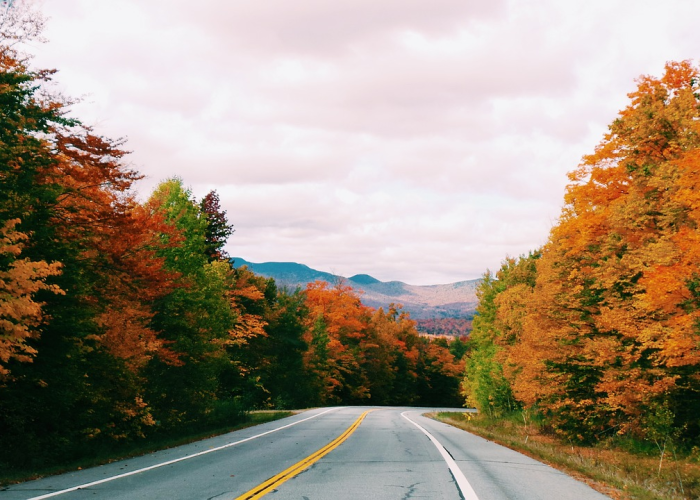 (变蛋怎么做)，变蛋怎么做好吃