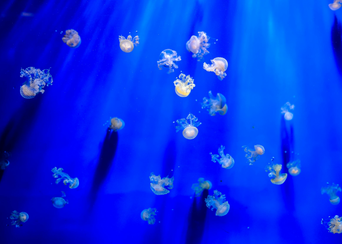 31省新增确诊1(31省新增确诊54例) 31省新增确诊1(31省新增确诊54例)