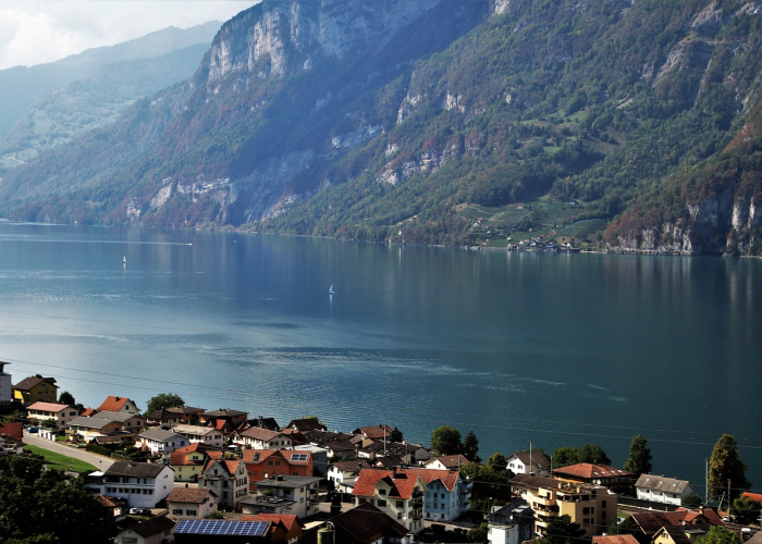 邪教组织有哪些，佛教邪教组织有哪些