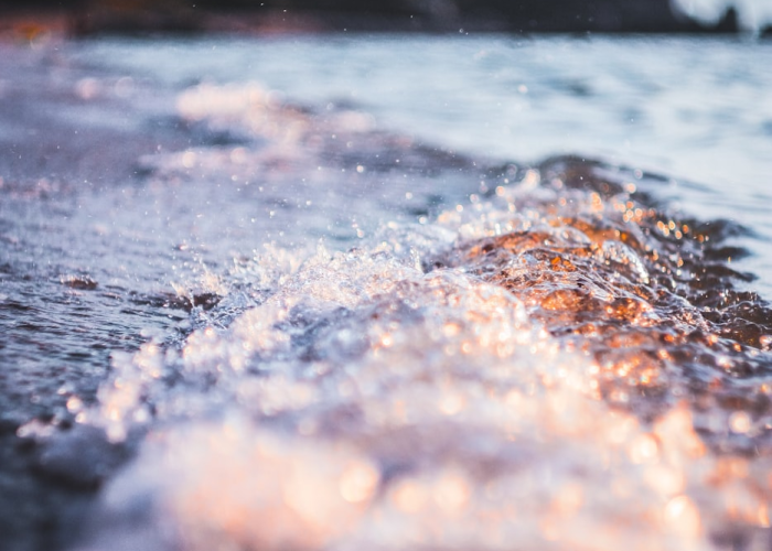 【紫苏油有什么功效与作用,紫苏油的功效与作用及禁忌】 【紫苏油有什么功效与作用,紫苏油的功效与作用及禁忌】