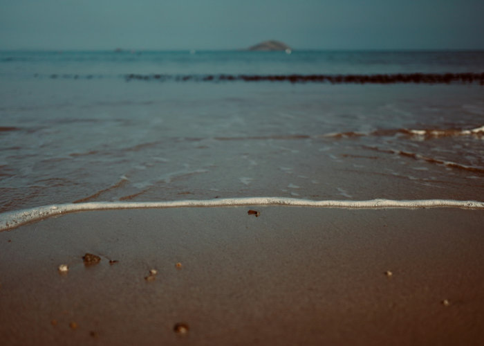 (鲅鱼圈教育网),鲅鱼圈教育网登录入口 (鲅鱼圈教育网),鲅鱼圈教育网登录入口