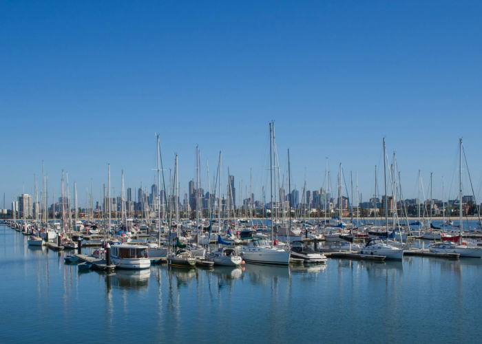 高丽参能配酒吗，高丽参跟什么泡酒比较好