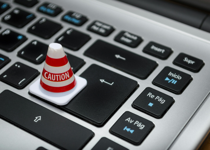 轻风“;淡月“”梅花的简单介绍 轻风“;淡月“”梅花的简单介绍