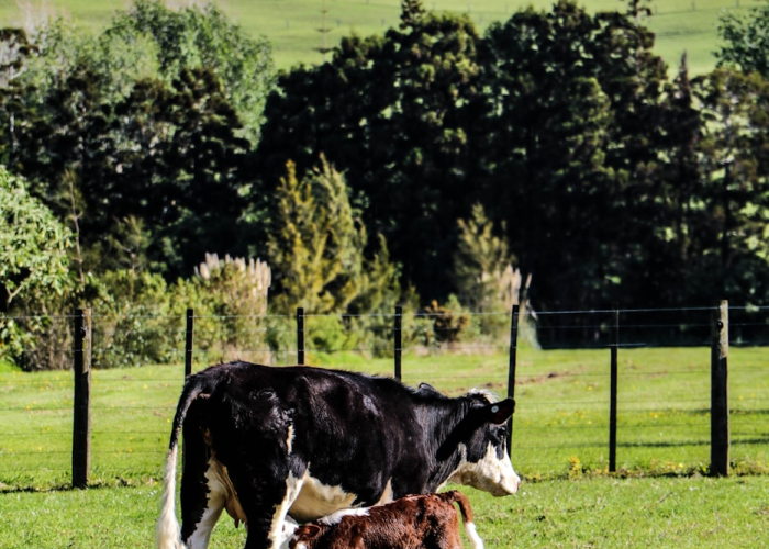 苏州初筛发现60份阳性环境样本苏州检测出新冠病毒