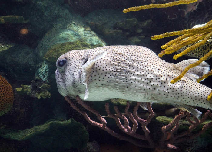 浙江绍兴隔离点发现1人核酸阳性,2021绍兴隔离 浙江绍兴隔离点发现1人核酸阳性,2021绍兴隔离