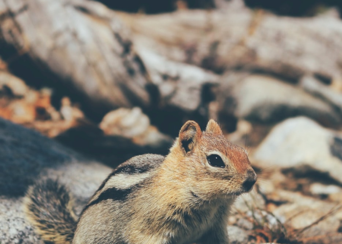 三十例新增背后的城市脉搏:疫情中的生命纽带与制度温度 三十例新增背后的城市脉搏:疫情中的生命纽带与制度温度