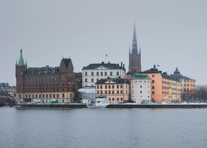 茂名基孔肯雅热防线与13家受罚单位，一场盛夏的蚊媒阻击战与城市免疫系统升级