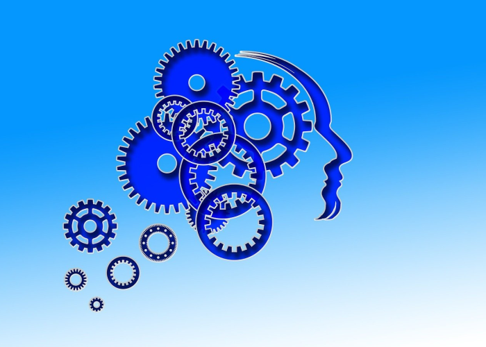 (雷政富视频完整版)，雷政富是啥子关了