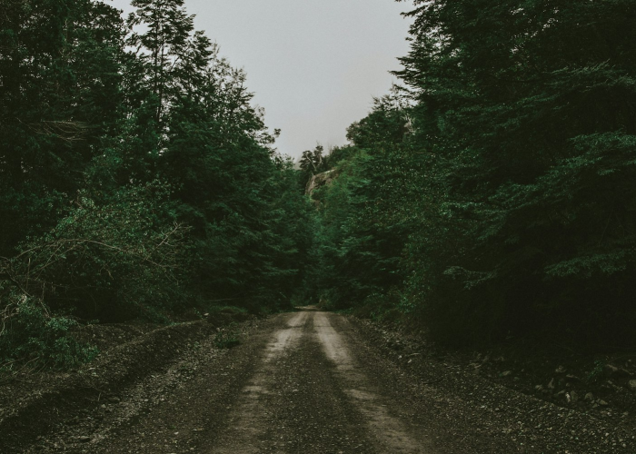 【dnf紧急任务事件,dnf紧急遁走在哪设置】 【dnf紧急任务事件,dnf紧急遁走在哪设置】