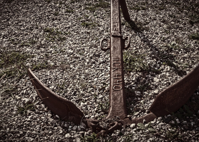 太原疫情低流行下的城市韧性,以41%绿化覆盖率编织的公共卫生安全网 太原疫情低流行下的城市韧性,以41%绿化覆盖率编织的公共卫生安全网