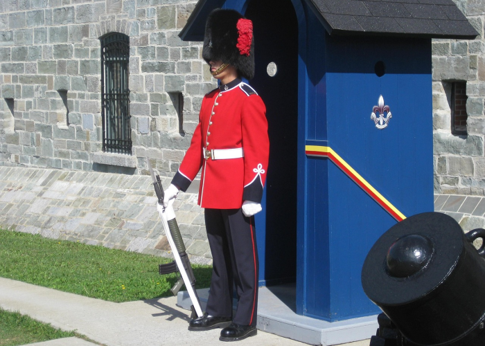 (蓝狐电视剧大结局)，电视剧蓝狐结局什么意思