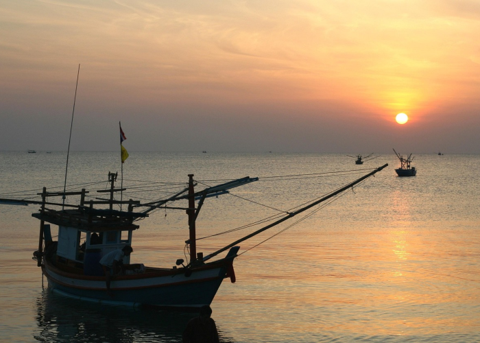 (重庆三峡医药高等专科学校在哪),重庆三峡医药高等专科学校在哪个街道 (重庆三峡医药高等专科学校在哪),重庆三峡医药高等专科学校在哪个街道