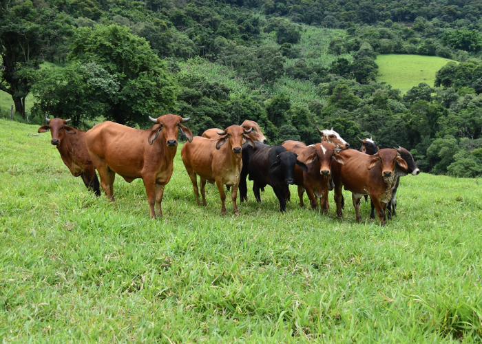 北京疫情中高风险地区,北京 疫情 中高风险
