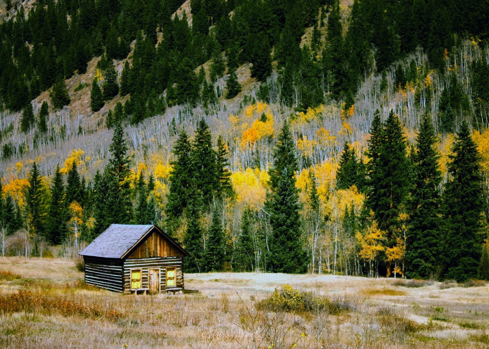 伊朗外长与国际原子能机构总干事举行会谈 美伊新一轮谈判即将展开 伊朗外长与国际原子能机构总干事举行会谈 美伊新一轮谈判即将展开