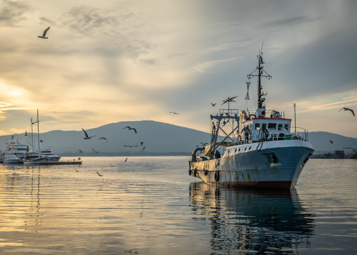 (初学空竹玩法)，初学空竹的玩法与图解