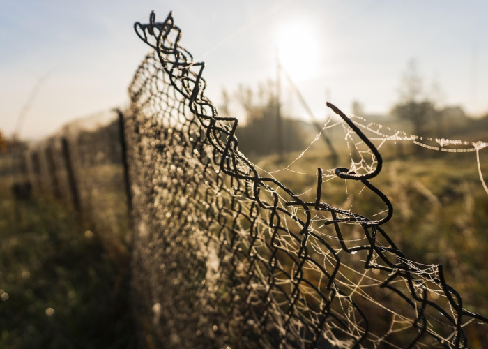 新增28条小众路线，自驾游成现代人“流动书房”，一条公路一卷无字书