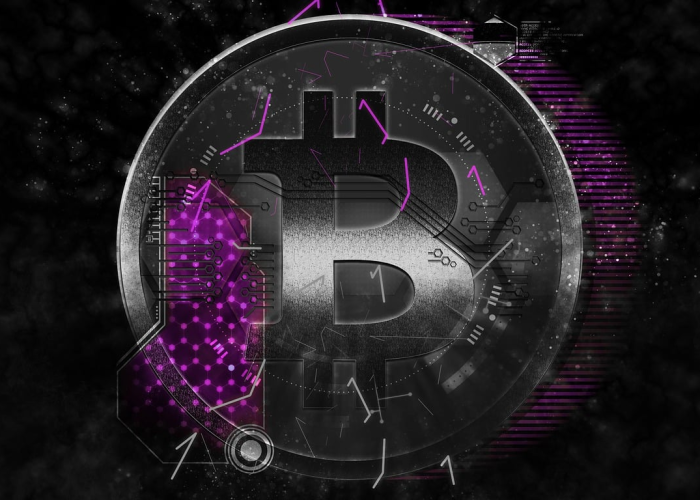 准空姐穿旗袍赏樱花，空姐旗袍定妆照