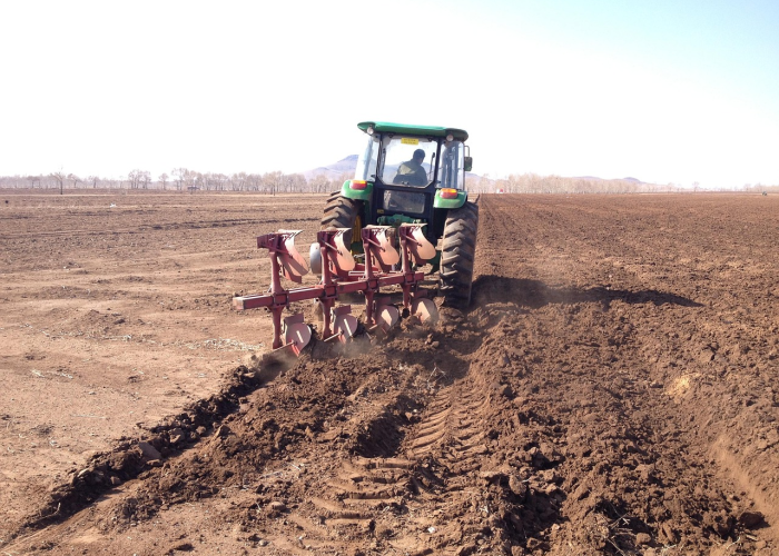 73443份阴性与14天等待，中北镇解封时刻的微观史，一座北方小镇的“静默交响曲”